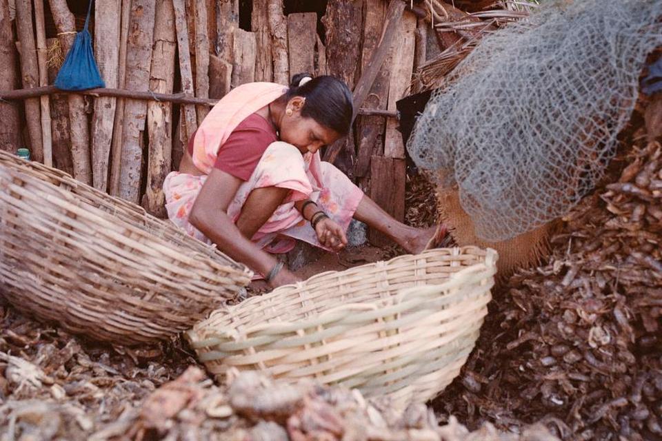 Landsby, Gokarna. I Gokarna har turismen ikke gjort sit store indtog endnu. Mange af de lokale har derfor de samme jobs som for 50 år siden; for eksempel denne kvinde, der sorterer rejer. 