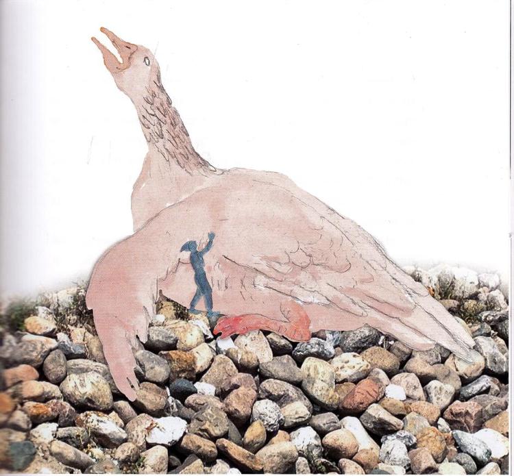 dunfin. Grågåsen Dunfin har skadet sin vinge. Den hvide gase og Nils Holgersen hjælper. Illustration: Helle Frøsig. 