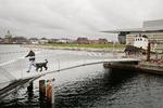 Proviantbroen sikrer forbindelse på langs af havnepromenaden helt fra Slusen i Sydhavnen til Operaen og resten af Holmen mod nord. 