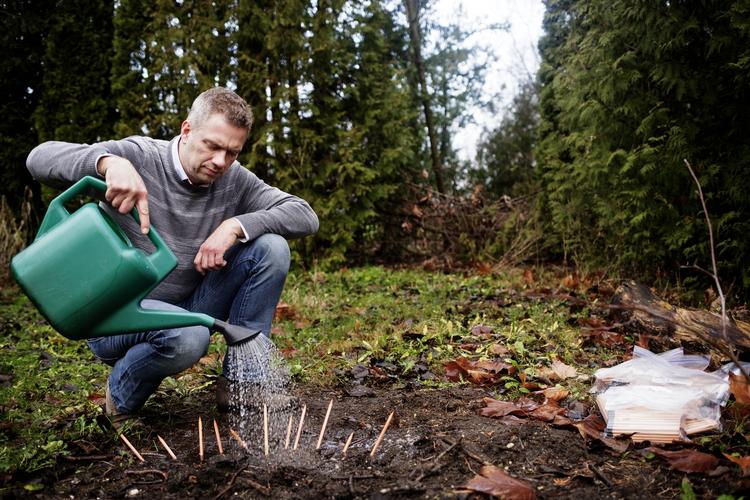 Succes Michael Stausholm har fået en rigtig god forretning ud af den lille genanvendelige blyant Sprout. Nu er nye produkter som farveblyanter snart klar. 