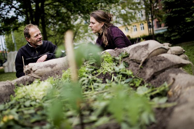 Grønt. I flere år har aktivister arbejdet med at anlægge byhaver i blandt andet København og Aarhus. Her ses en byhave på Nørrebro - tæt ved Nørrebroparken. Arbejdet udføres af en gruppe frivillige, der kalder sig Byhaven 2200. (arkivfoto) 