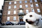 eftertragtede. Det er især antallet af ejerlejligheder med et 'til salg'-skilt i vinduet, som der er blevet færre af. 