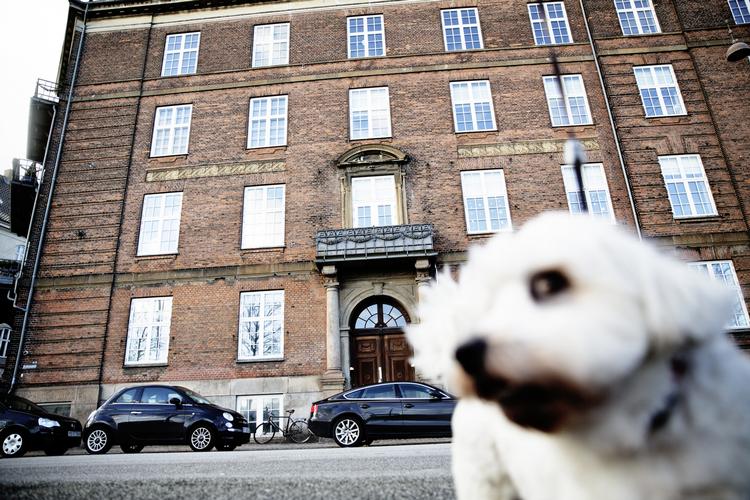 eftertragtede. Det er især antallet af ejerlejligheder med et 'til salg'-skilt i vinduet, som der er blevet færre af. 