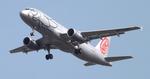 Sviptur. Østrigske Fly Niki har åbnet ruten mellem Wien og Bratislava. En tur, der i bil kan gøres på en time. 