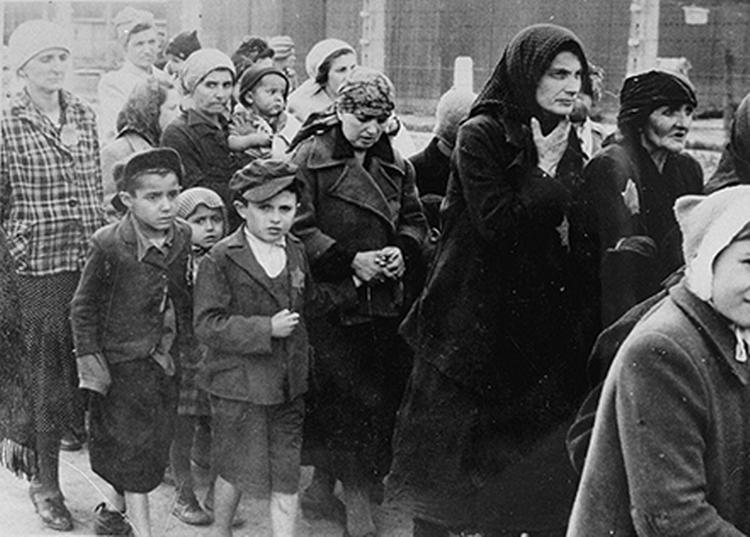 Auschwitz. Forsøget på at finde en forklaring på blandt andet rædslerne i den tyske kz-lejre i Auschwitz får den jødiske Hanns' efterkommer til at dykke ned i historien, der til sidst bringer hans onkel sammen med Auschwitz-kommandanten Rudolf Höss, der arresteres mod slutningen i bogen. Foto fra bogen: Auschwitz Museum og Yad Vashem 