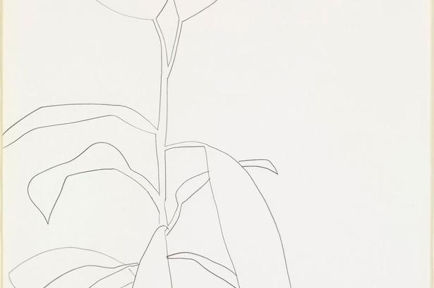 Ellsworth Kelly (født 1923). Da Louisiana tidligere har vist en udstilling med tegninger af den amerikanske kunstner Ellsworth Kelly, vil dette værk falde helt naturligt på plads i museets samling. Ellsworth Kelly er en af de såkaldte hard-edge-kunstnere. Det er altid den kølige, men præcise streg, der skaber motivet. Enklere kan en form ikke gøres. Eller skarpere. Deraf betegnelsen hard-edge. 