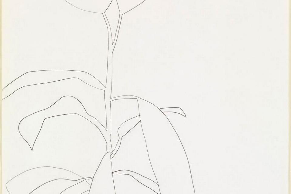 Ellsworth Kelly (født 1923). Da Louisiana tidligere har vist en udstilling med tegninger af den amerikanske kunstner Ellsworth Kelly, vil dette værk falde helt naturligt på plads i museets samling. Ellsworth Kelly er en af de såkaldte hard-edge-kunstnere. Det er altid den kølige, men præcise streg, der skaber motivet. Enklere kan en form ikke gøres. Eller skarpere. Deraf betegnelsen hard-edge. 