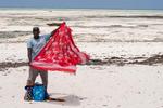 Zanzibar. En 40 kilometers biltur over Zanzibar fra Stone Town på vestsiden af øen, hvor de fleste ankommer, tager dig til kystlandsbyen Jambiani. Her afslører tidevandet flere timer om dagen, hvad der gemmer sig under Det Indiske Ocean. Derfor er der heller ikke så mange turister, men naturen og de lolake glemmer du ikke. FOTO: Karoline Rahbek 