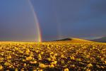 Bolivia. Billedet her er taget under en smuk solnedgang i nationalparken Avaroa i Bolivia, hvori den store saltørken Salar de Uyuni også ligger. »Vi havde kørt længe under tunge skyer med optakt til stormvejr, da solen pludselig brød frem i horisonten og lod sine stråler falde ind over landskabet og gav dette fantastiske farvespil med en meget kraftig dobbeltregnbue«, skriver fotografen. FOTO: Anita Hinz Lyng Sørensen 