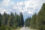 vildnis. Det er bl.a. den storslåede natur, der trækker folk til Californien. Her på vej mod Mount Shasta i det nordlige Californien. 