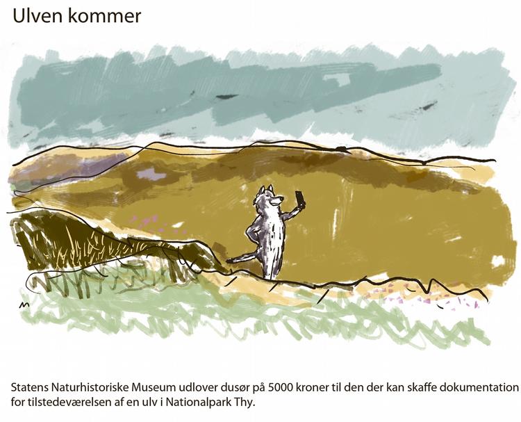 Tegning: Mette Dreyer 