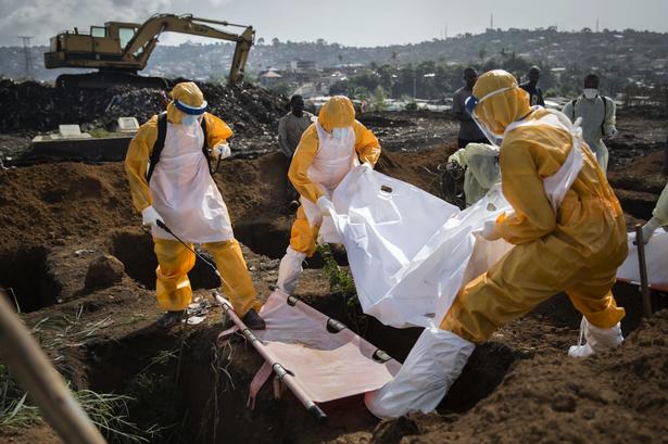 Et begravelseshold iført sikkerhedsdragter begraver en formodet ebola-smittet person på King Tom Cementary i hovedstaden Freetown, hvor antallet af begravelser er steget fra 10-15 om dagen før krisen til mellem 50 og 60. Den eksplosive stigning har gjort det nødvendigt for begravelsespladsen at udvide ind på den nærliggende losseplads. 