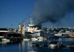 Dødsbrand. Branden på Scandinavian Star kostede 159 mennesker livet. 