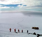 ISHAV. Det er under dette isdække, forskerne mødte de gennemsigtige fisk. Arkivfoto. 