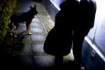 TRYGHED. Politiet vil fokusere på indbrud for at danskerne skal føle sig mere trygge. (arkivfoto) 