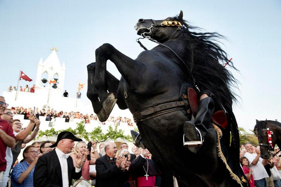 Drama, når hestene stejler. Foto: Tine Harden 