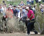 støvet. Tiger Woods forsøger at slå sig ud af 'roughen' i Phoenix Open. 