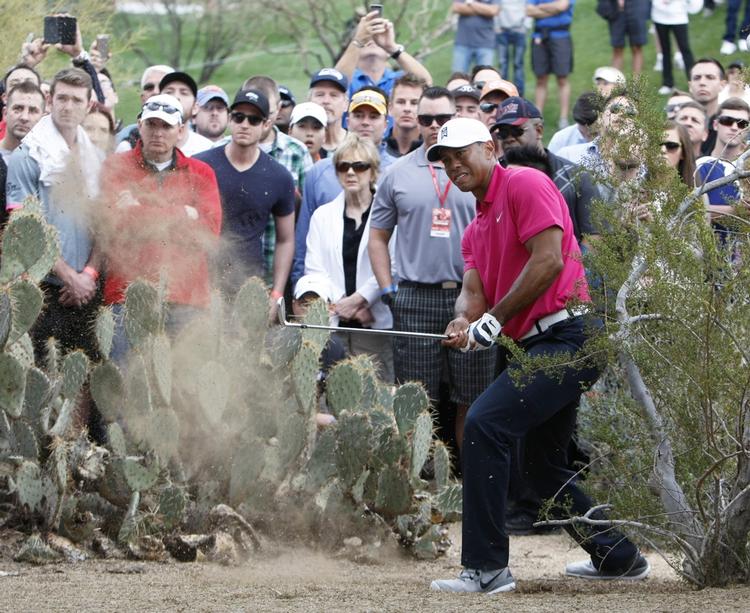 støvet. Tiger Woods forsøger at slå sig ud af 'roughen' i Phoenix Open. 