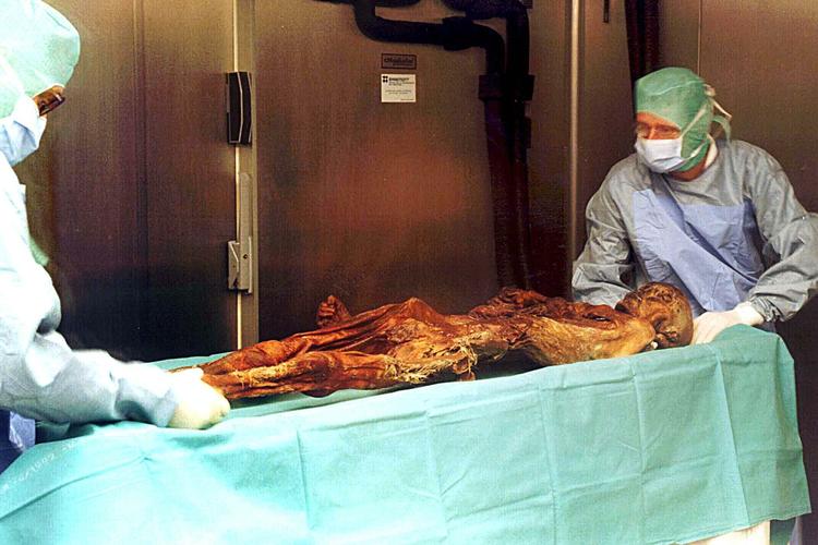 ISMAND. Ötzi ved ankomsten til det arkæologiske museum i Bolzano i Italien. 