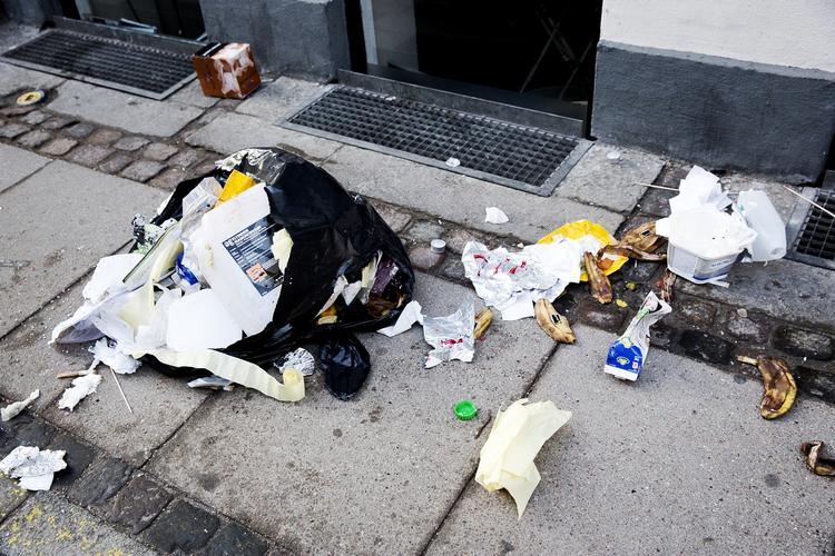 OMTANKE. En europæisk befolkningsundersøgelse viser blandt andet, at personer, der synes, det er vigtigt at passe på naturen, er lykkeligere end andre. 