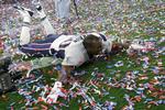 Mere jubel; her er det New England Patriots Duron Harmon. 