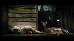 Succes. Von Triers 'Antichrist' var en stor kunstnerisk succes for dansk film, men produktionen har fået et langt økonomisk efterspil med beskyldninger om misbrug af støttekroner og efterfølgende revisionsundersøgelse. 