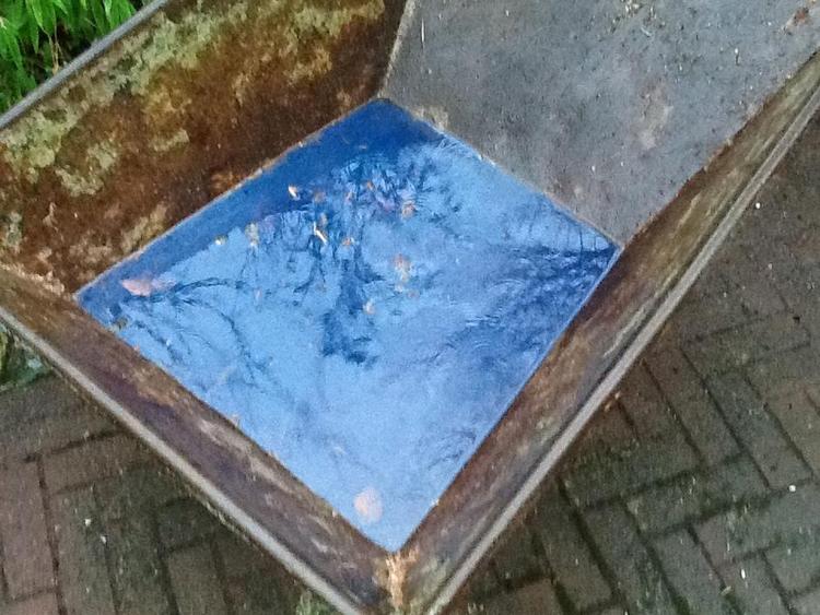 Smukt mysterium. Nej, det er ikke himlen, som spejler sig i regnvandet i trillebøren, men hvad er det så? 
