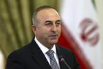 Protest. Den tyrkiske udenrigsminister Mevlüt Cavusoglu havde egentlig planlagt at deltage i sikkerhedskonferencen i München, men undlader grundet en sen tilmelding fra Israel. 