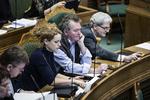 Vederlag. Pernille Skipper fra Enhedslisten er blandt de yderfløjspolitikere, der vil se på reglerne for ministres pensioner. 
