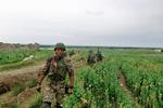 afvist. Tolken Aman i dansk tjeneste i Afghanistan. Nu har han fået en trussel fra Taleban, men han kan stadig ikke få visum til at søge asyl i Danmark. Til højre Talebans trusselsbrev til Aman. 