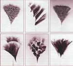 Illustration: Monika Neuser/udsnit. 