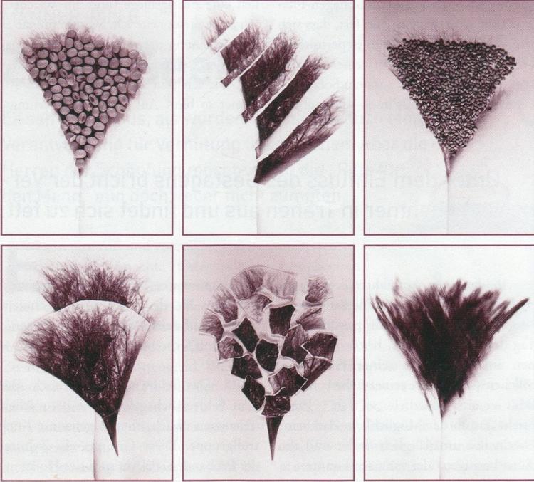 Illustration: Monika Neuser/udsnit. 