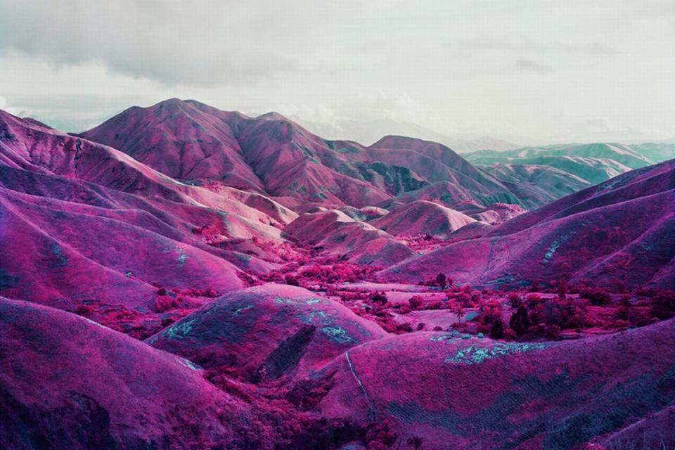 Nowhere To Run, 2010 