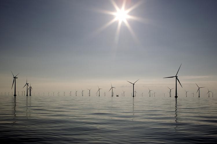 udbytte. Vestas er atter klar til at betale udbytte til aktionærerne efter flot regnskab. 