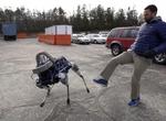 UMENNESKELIGT. Googles og Boston Dynamics nye robothund, Spot, kan tåle at man sparker til den. Den finder hurtigt balancen igen. 