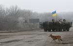 KRIGSHANDLINGER. Ukrainsk militærkøretøj nær fronten ind mod det område, der kontrolleres af russermilitserne. 