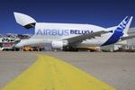 Afgang. Fragtflyet kan på en flyvning være læsset med over 45.000 kilo. FOTO: Airbus 