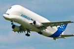 Flyvende hval. Et fragtfly fra Airbus i luften. Fem nye kommer til frem mod 2020, og de bygges ud fra Airbus' A330-model. FOTO: Daspaddy, flickr/Creative Commons 