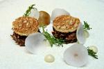 Guide. Brødrene Mats og Ebbe Vollmers arbejde  på deres fælles restaurant Vollmers er i dag blevet belønnet af michelinguidens inspektører med en stjerne. 