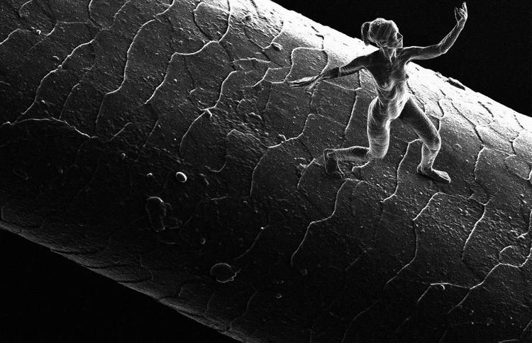 Nanokunst. Hun er for lille til at kunne ses med det blotte øje. Men her – gennem et elektronmikroskop – ses den nøgne, 3D-printede kvinde posere på et hår. Foto: Jonty Hurwitz 