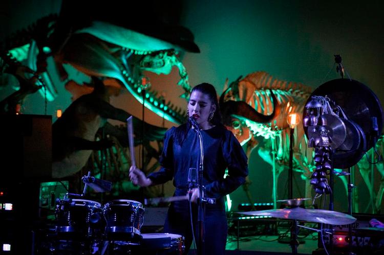 Jungle. Svenske Wildbirds &amp; Peacedrums var pakket smukt ind i Jakob Kvists lysdesign på Zoologisk Museum. 