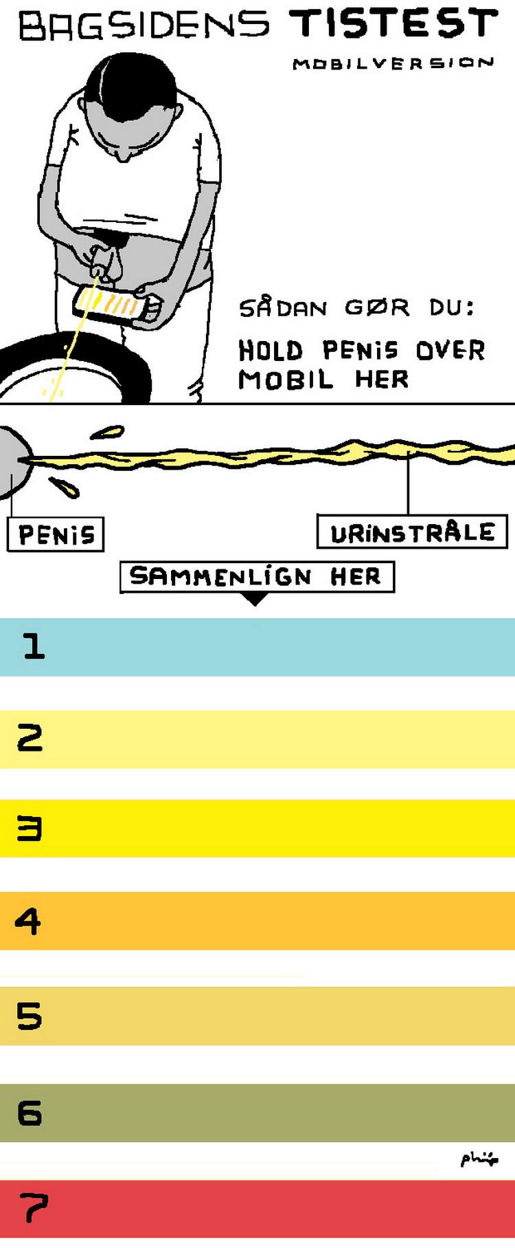 Selvtest. Følg anvisningerne i denne illustration, find den urinfarve, der bedst matcher dit tis, og læs i artiklen, hvordan det står til med din krop. Tegning: Philip Ytournel 
