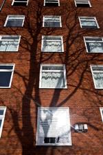Mørkelagt. En 29-årig er fængslet for flere drab på sygehuset i Nykøbing Falster, men retsmøderne er holdt for dobbeltlukkede døre, og de ansatte og leder på sygehuset har ingen kommentarer. 