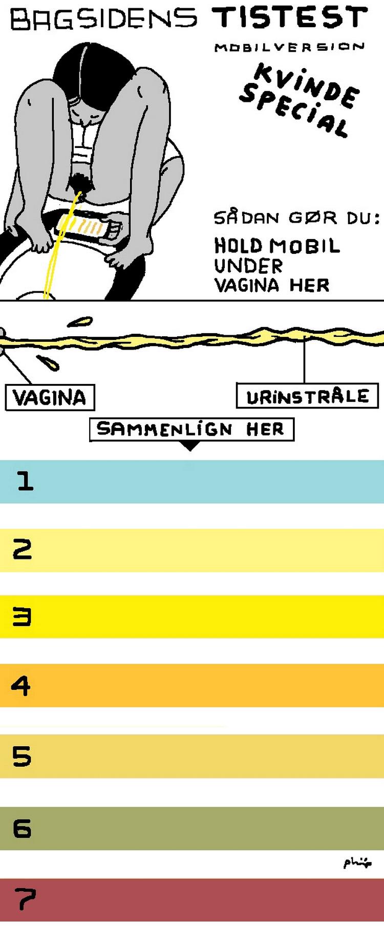 Selvtest. Følg anvisningerne i denne illustration, find den urinfarve, der bedst matcher dit tis, og læs i artiklen, hvordan det står til med din krop. Tegning: Philip Ytournel 