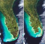Vandstigning. En simulation viser konsekvenserne for Florida, hvis den grønlandske indlandsis smelter. På vestkysten fosvinder storbyen Tampa, og mod syd går det hårdt ud over Miami og de attraktive turistomårder. (Grafik Nasa) 