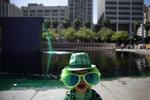 Californien. Børnene lever sig ind i den irske fest. Her i Los Angeles, hvor et bassin er farvet grønt. Foto: Jae C. Hong/AP 