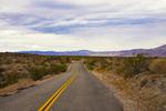 Joshua tree 20.jpg