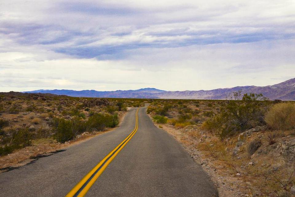 Joshua tree 20.jpg