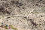 En af Joshua Trees bedste vandreture byder slet ikke på joshuatræer, men går derimod til oasen 49 Palms Oasis. Ruten er knap 5 km retur og begynder i den nordlige udkant af parken og går gennem et kuperet ørkenlandskab, og hvis man er heldig, kan man se bighornfår undervejs. 