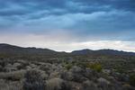 En af de ting, der er mest tiltalende ved Joshua Tree National Park, er, at man ofte har de åbne vidder helt for sig selv, og der er noget meditativt over at sidde og kigge ud over ørkenen i de tidlige morgentimer og mærke stilheden. 